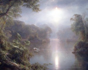Morning at the tropics